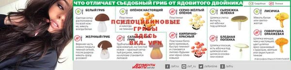 трава Аркадак