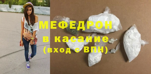 индика Каменногорск