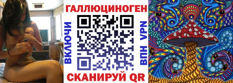 купить наркотик  Горячий Ключ  гидра онион  Галлюциногенные грибы GOLDEN TEACHER 